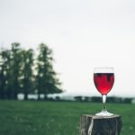 Korrekte Weinlagerung – Einfacher als gedacht